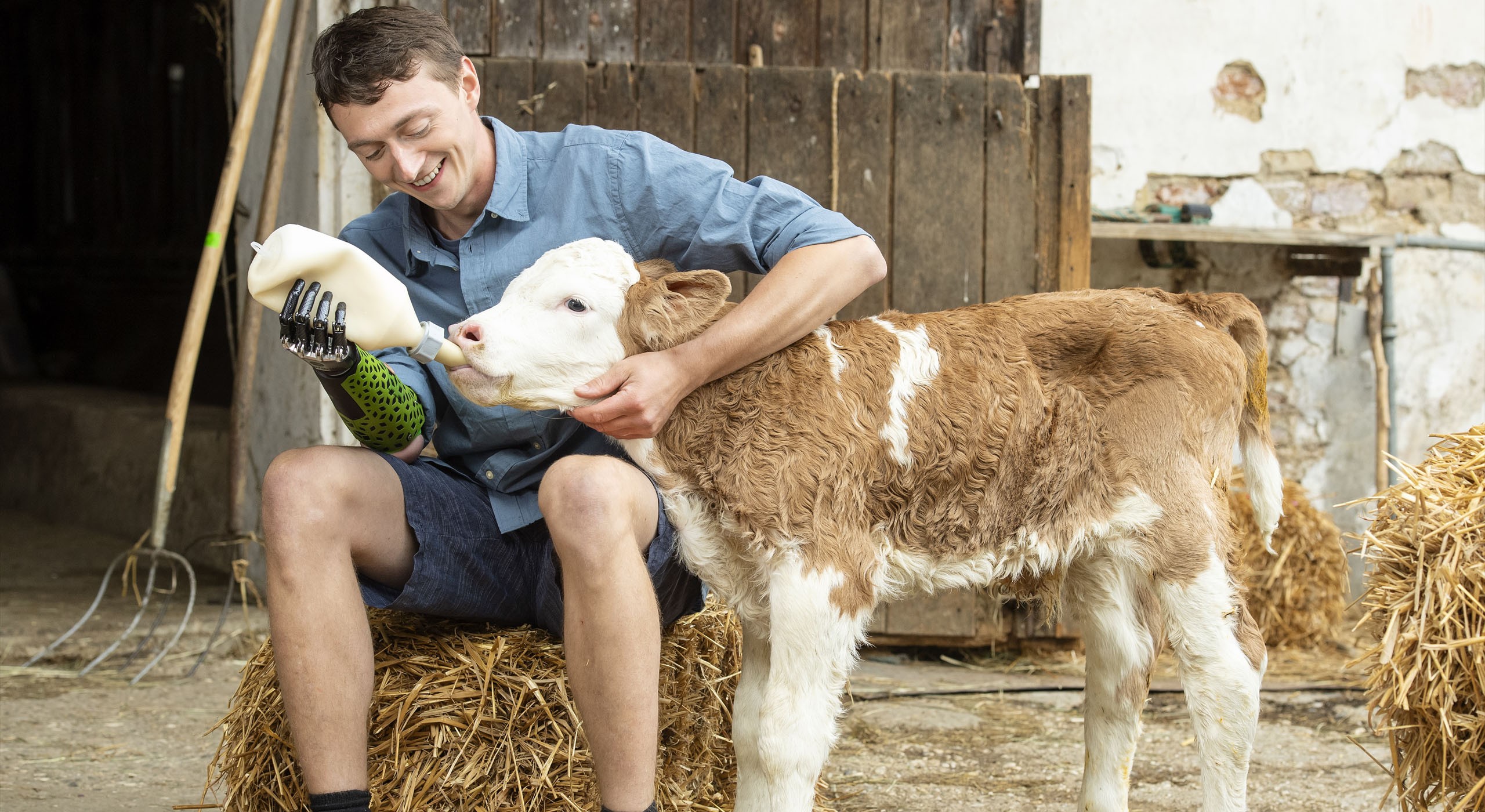 Junger Mann mit Armprothese füttert Schaf